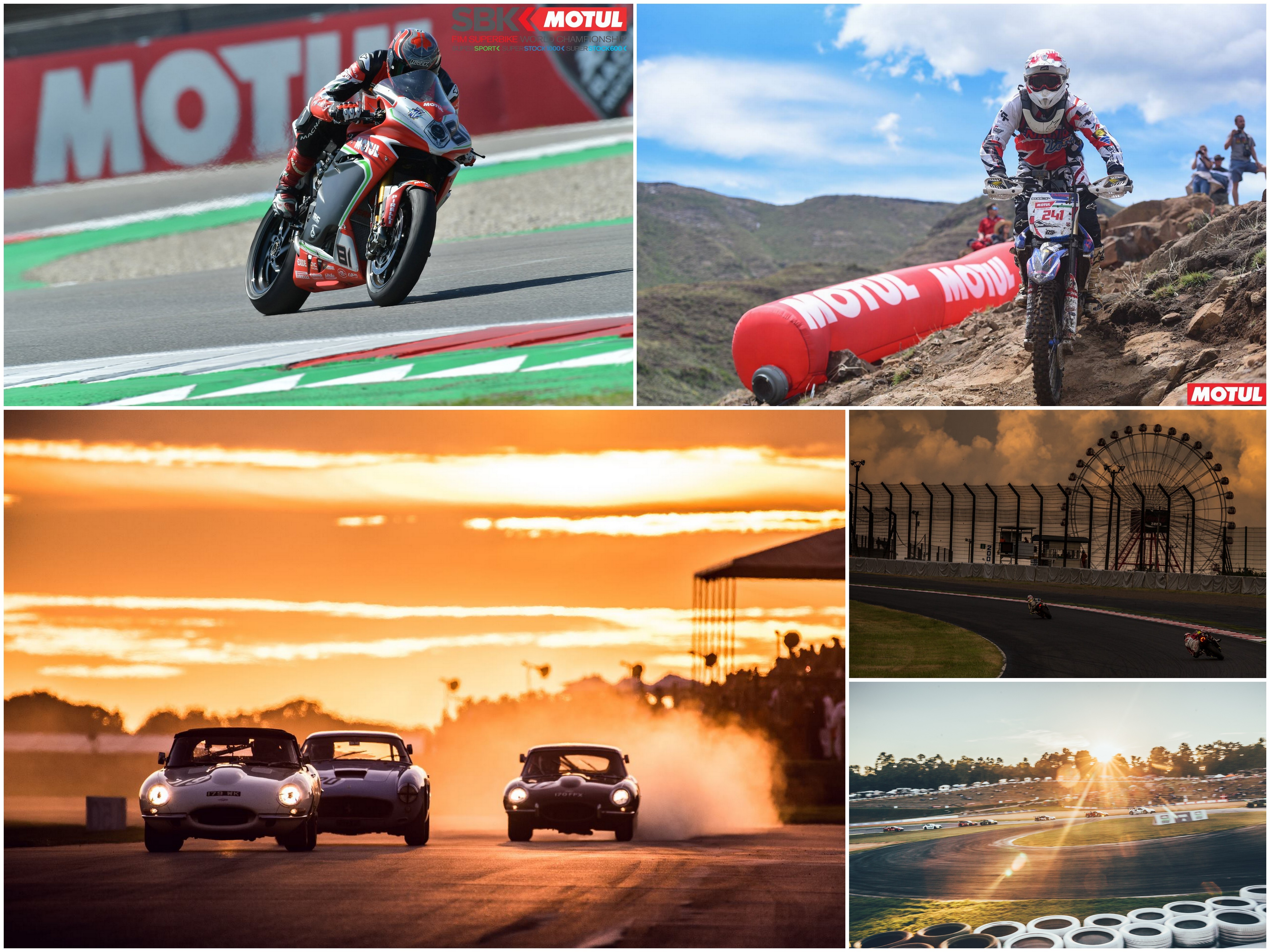 Five races you don’t want to miss in 2019!